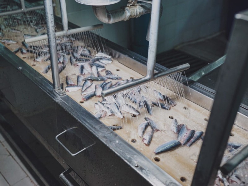 รับผลิตปลากระป๋อง OEM